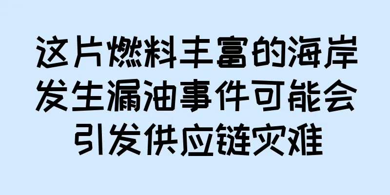 这片燃料丰富的海岸发生漏油事件可能会引发供应链灾难