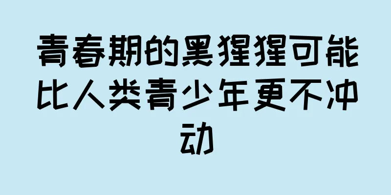 青春期的黑猩猩可能比人类青少年更不冲动