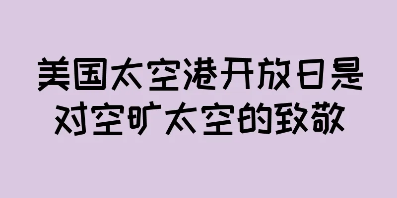美国太空港开放日是对空旷太空的致敬