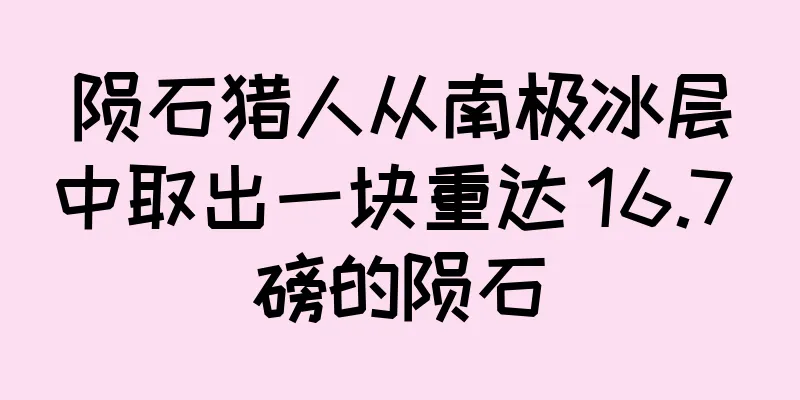 陨石猎人从南极冰层中取出一块重达 16.7 磅的陨石