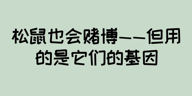 松鼠也会赌博——但用的是它们的基因