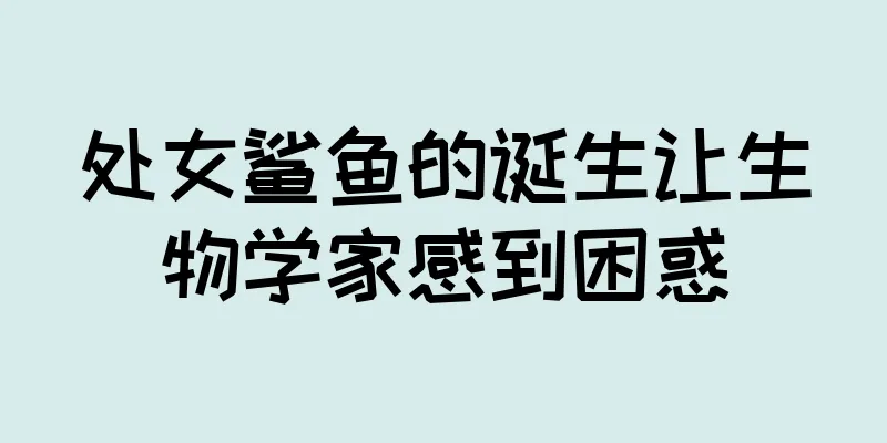 处女鲨鱼的诞生让生物学家感到困惑