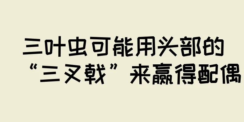 三叶虫可能用头部的“三叉戟”来赢得配偶