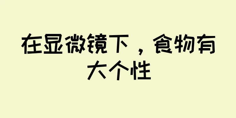 在显微镜下，食物有大个性