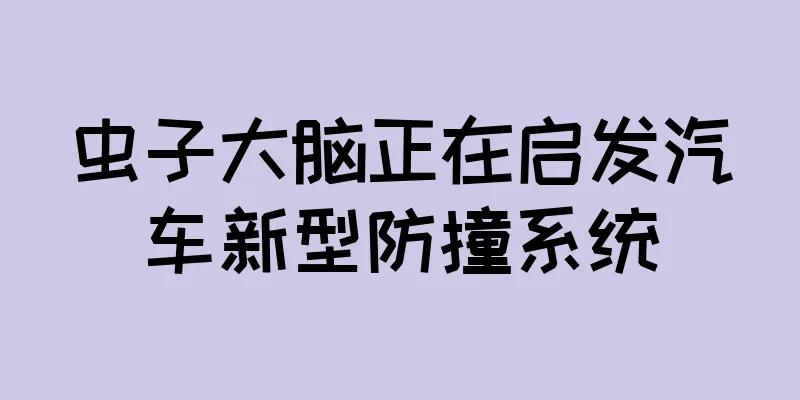 虫子大脑正在启发汽车新型防撞系统
