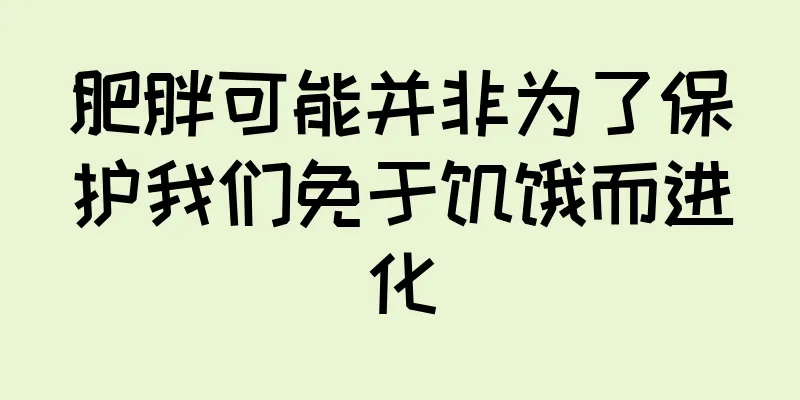 肥胖可能并非为了保护我们免于饥饿而进化