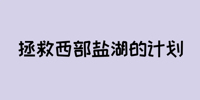拯救西部盐湖的计划