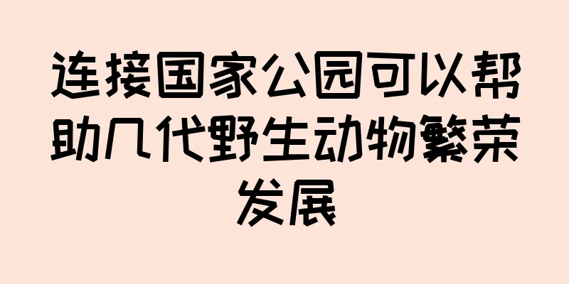 连接国家公园可以帮助几代野生动物繁荣发展