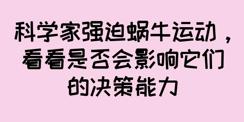 科学家强迫蜗牛运动，看看是否会影响它们的决策能力