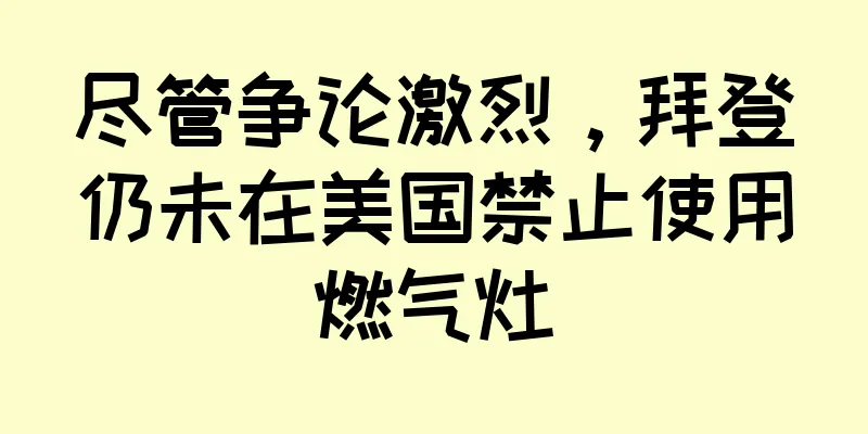 尽管争论激烈，拜登仍未在美国禁止使用燃气灶