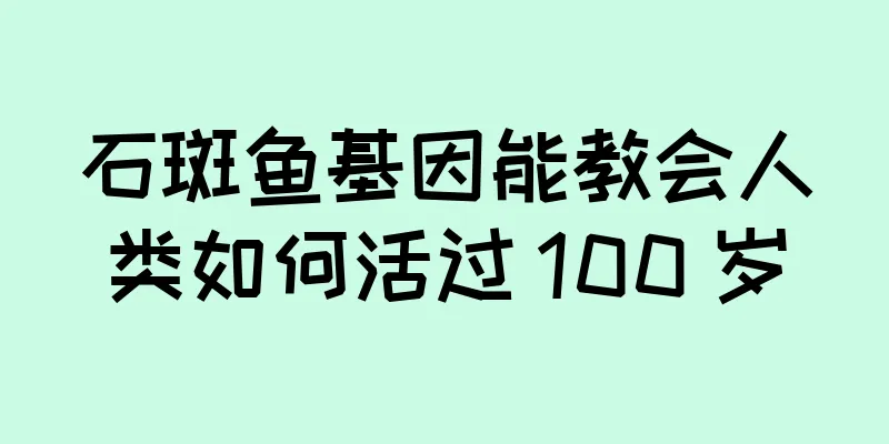 石斑鱼基因能教会人类如何活过 100 岁