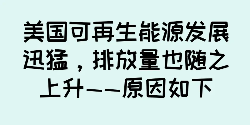 美国可再生能源发展迅猛，排放量也随之上升——原因如下