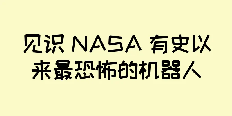 见识 NASA 有史以来最恐怖的机器人