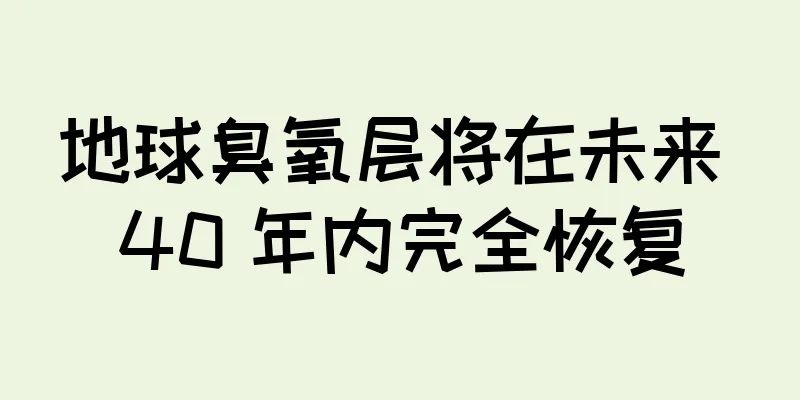 地球臭氧层将在未来 40 年内完全恢复