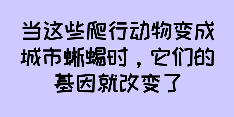当这些爬行动物变成城市蜥蜴时，它们的基因就改变了
