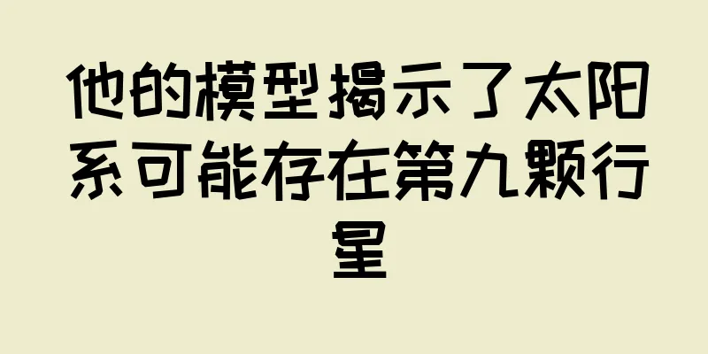 他的模型揭示了太阳系可能存在第九颗行星