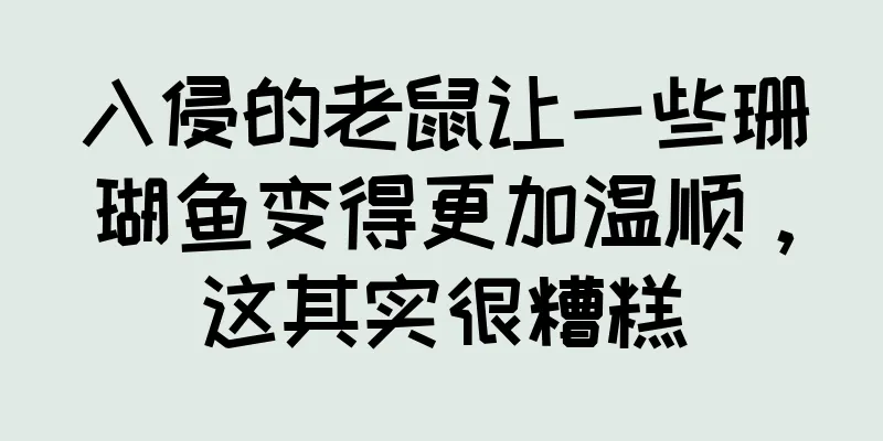 入侵的老鼠让一些珊瑚鱼变得更加温顺，这其实很糟糕