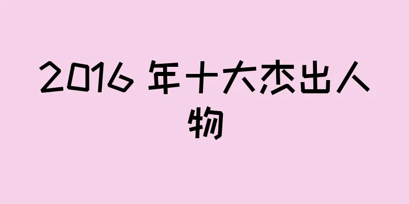 2016 年十大杰出人物