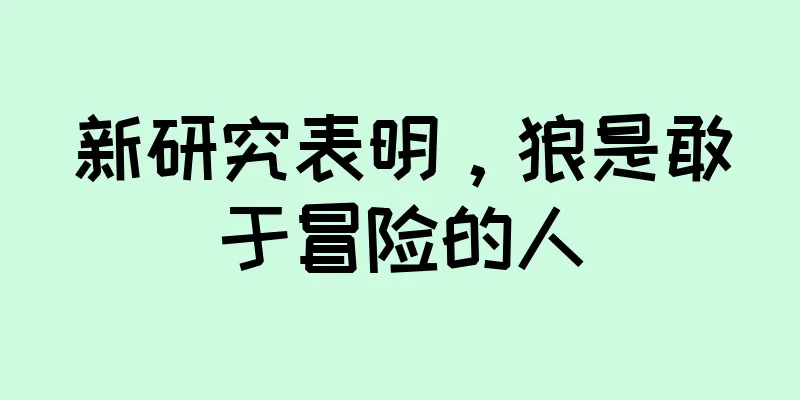 新研究表明，狼是敢于冒险的人