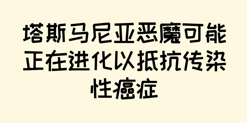 塔斯马尼亚恶魔可能正在进化以抵抗传染性癌症