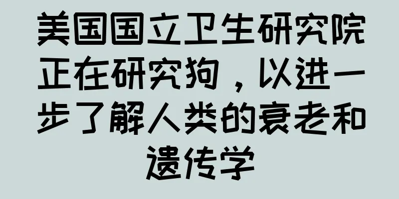 美国国立卫生研究院正在研究狗，以进一步了解人类的衰老和遗传学