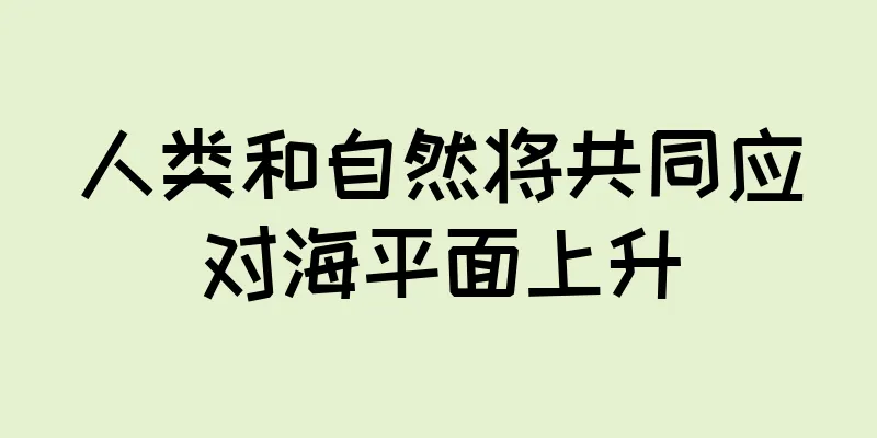 人类和自然将共同应对海平面上升