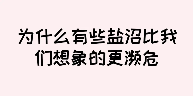 为什么有些盐沼比我们想象的更濒危