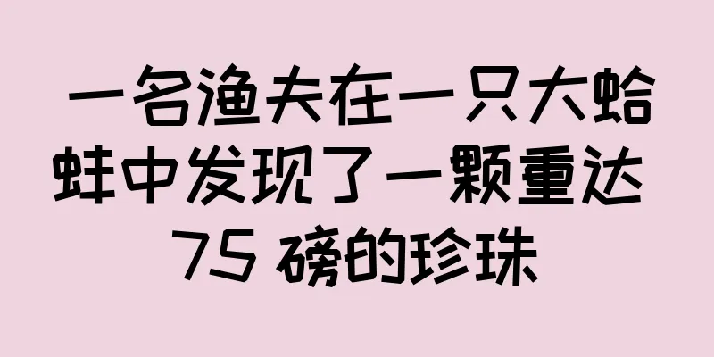 一名渔夫在一只大蛤蚌中发现了一颗重达 75 磅的珍珠