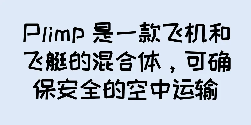 Plimp 是一款飞机和飞艇的混合体，可确保安全的空中运输