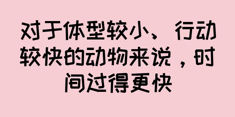 对于体型较小、行动较快的动物来说，时间过得更快