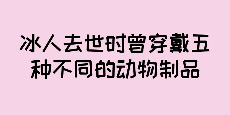 冰人去世时曾穿戴五种不同的动物制品