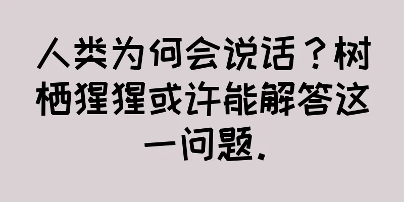 人类为何会说话？树栖猩猩或许能解答这一问题。