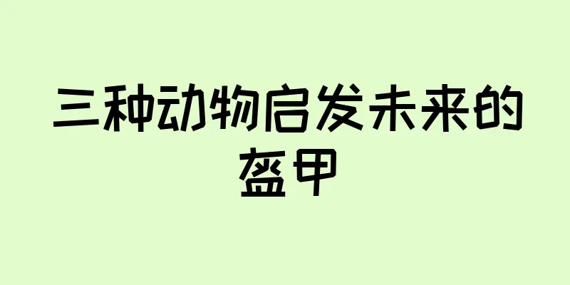 三种动物启发未来的盔甲
