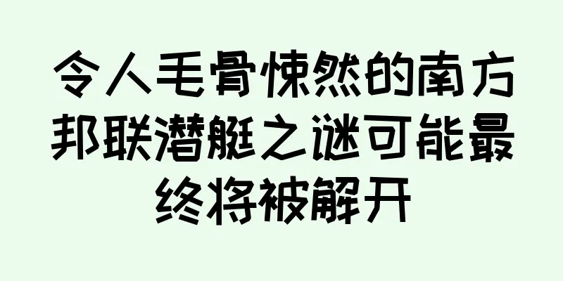 令人毛骨悚然的南方邦联潜艇之谜可能最终将被解开