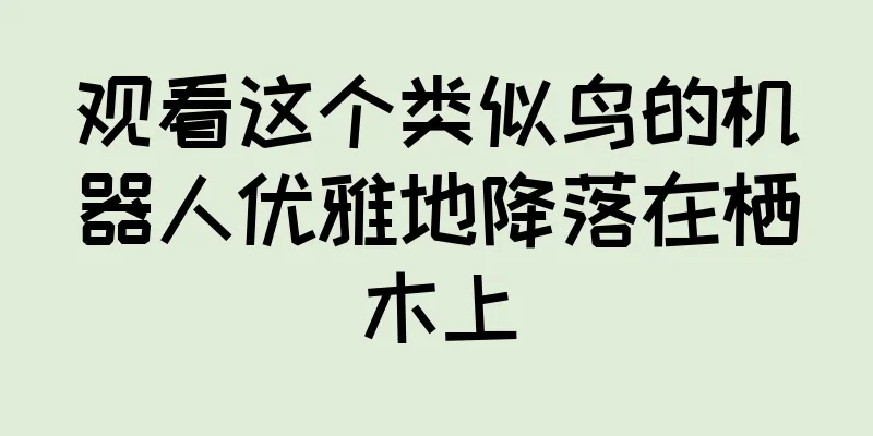 观看这个类似鸟的机器人优雅地降落在栖木上
