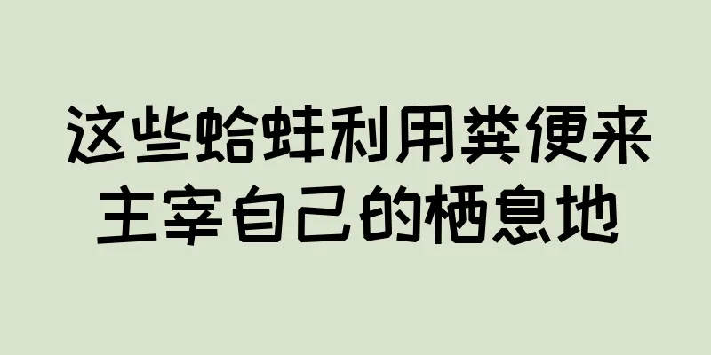 这些蛤蚌利用粪便来主宰自己的栖息地