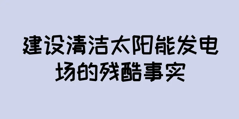建设清洁太阳能发电场的残酷事实