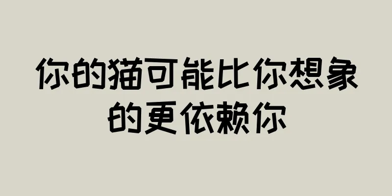 你的猫可能比你想象的更依赖你