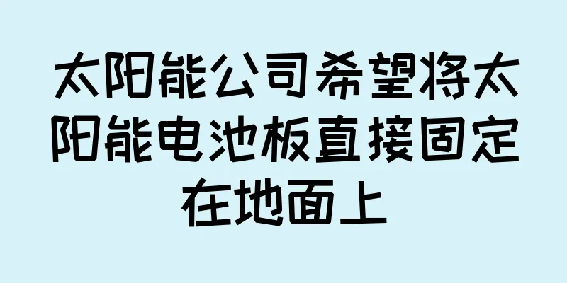 太阳能公司希望将太阳能电池板直接固定在地面上