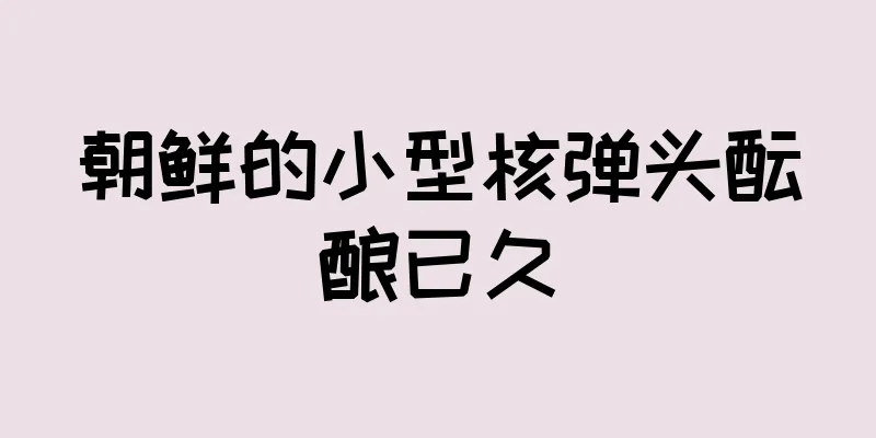 朝鲜的小型核弹头酝酿已久