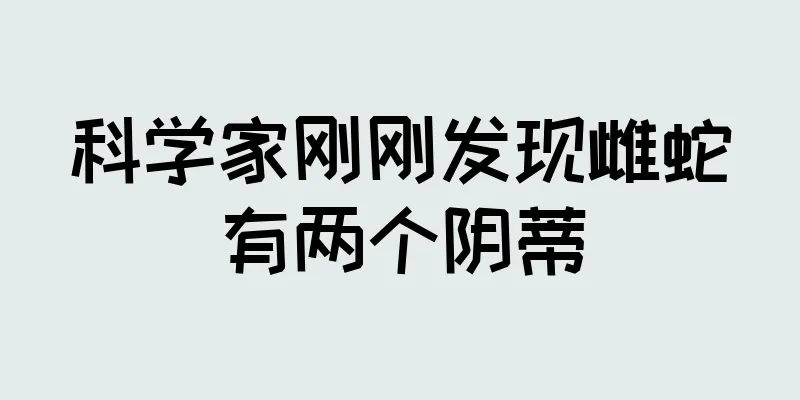 科学家刚刚发现雌蛇有两个阴蒂