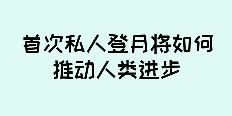 首次私人登月将如何推动人类进步