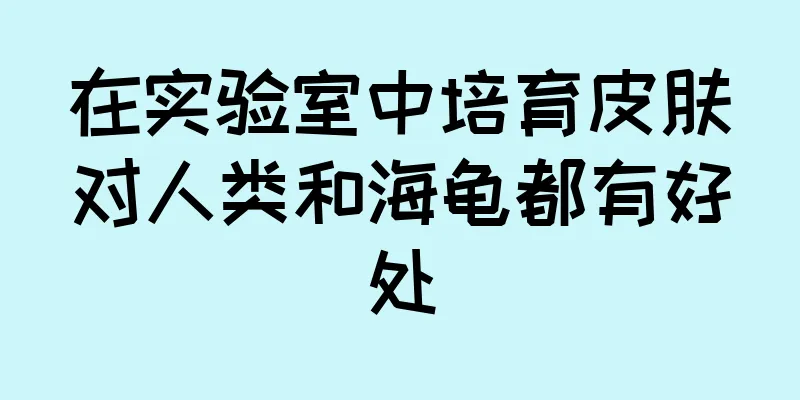 在实验室中培育皮肤对人类和海龟都有好处