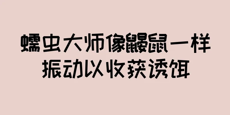 蠕虫大师像鼹鼠一样振动以收获诱饵
