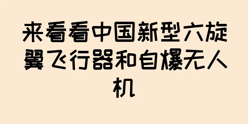 来看看中国新型六旋翼飞行器和自爆无人机