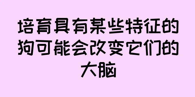 培育具有某些特征的狗可能会改变它们的大脑