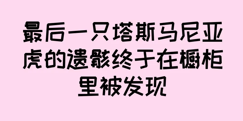 最后一只塔斯马尼亚虎的遗骸终于在橱柜里被发现
