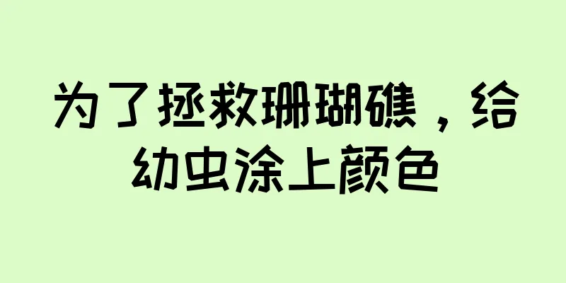 为了拯救珊瑚礁，给幼虫涂上颜色