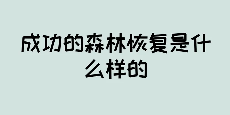 成功的森林恢复是什么样的