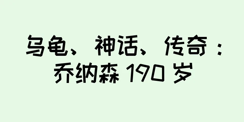 乌龟、神话、传奇：乔纳森 190 岁